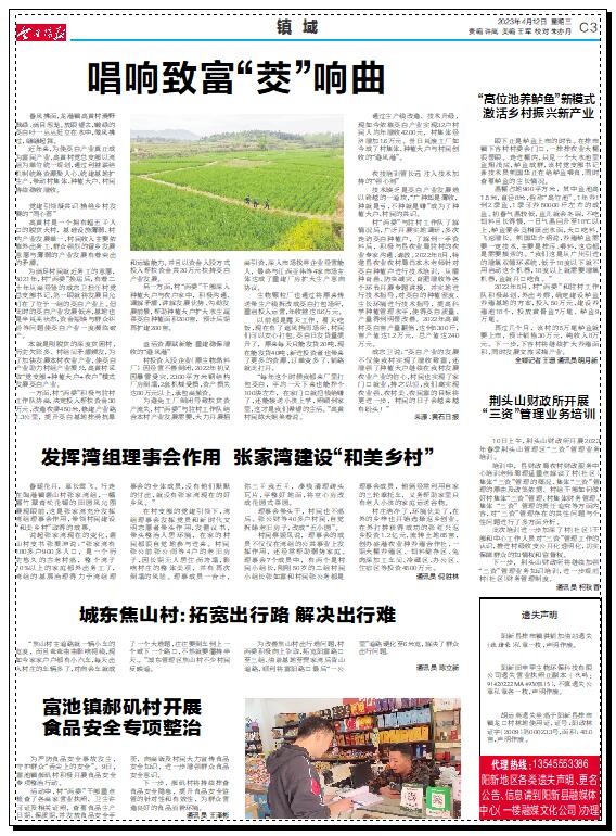 最新合阳新闻揭示校园体育改革成果学生体质显著提升